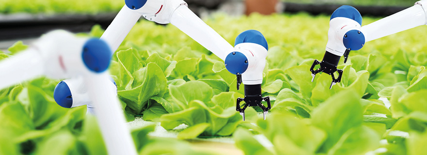 Estudio de caso: Activista anónimo en línea