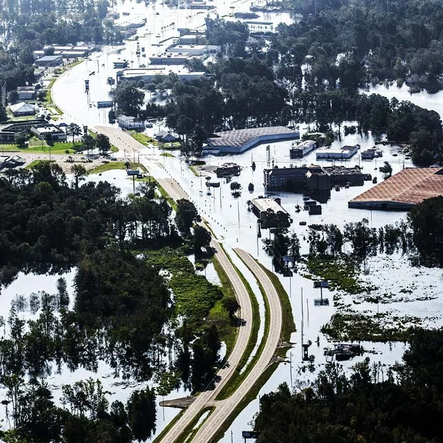 Organisational Resilience