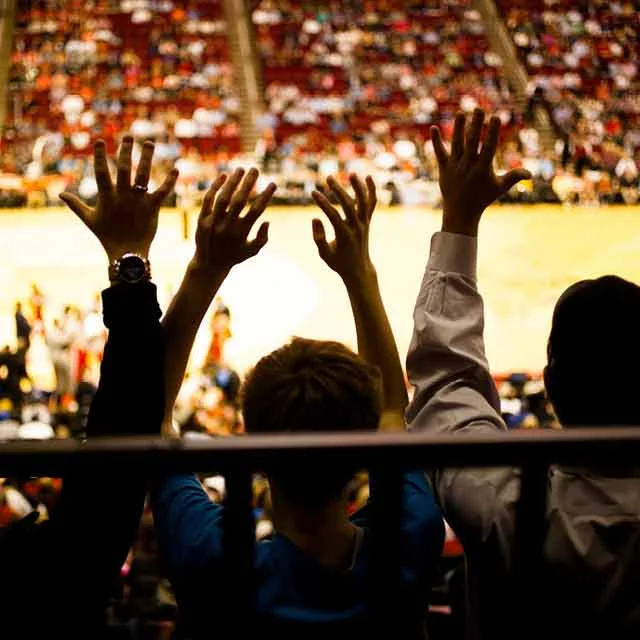 Risk Management and Security Solutions for Sport and Major Events