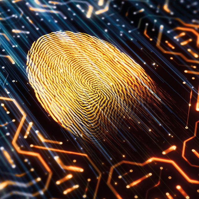 Digital Forensic and eDiscovery Support to Integrity Team