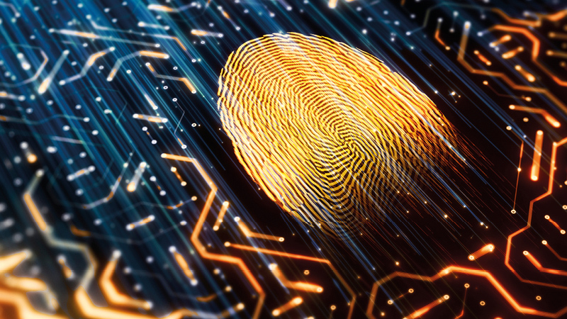 Digital Forensic and eDiscovery Support to Integrity Team