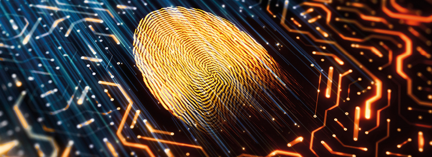 Digital Forensic and eDiscovery Support to Integrity Team