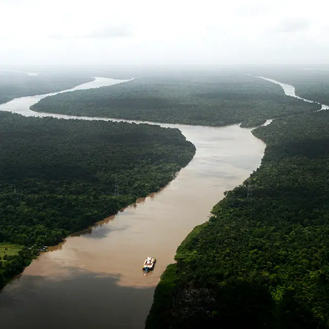 COP30: strategic risks and realities for business