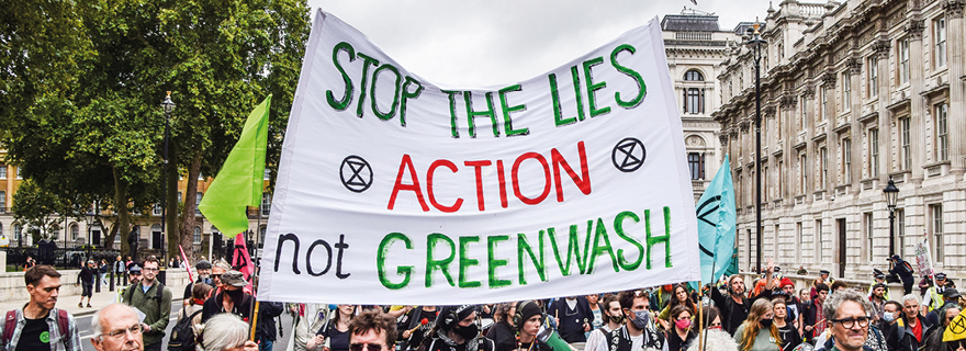 Como as empresas podem se proteger da greenwashing