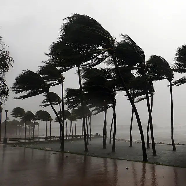 Hurricane season 2025: business readiness and continuity