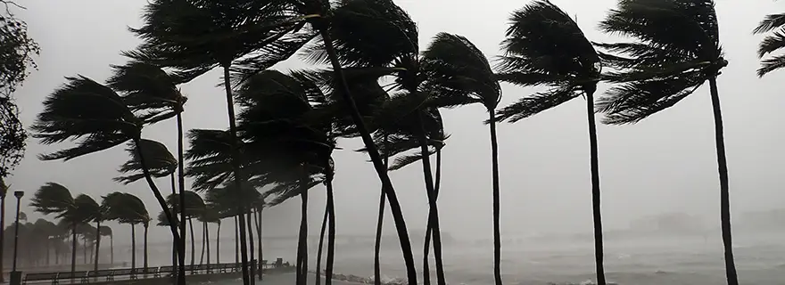 Hurricane season 2025: business readiness and continuity