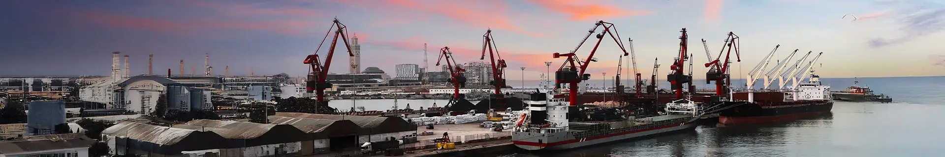 Marruecos y Argelia: cómo la volatilidad geopolítica está impactando en los negocios