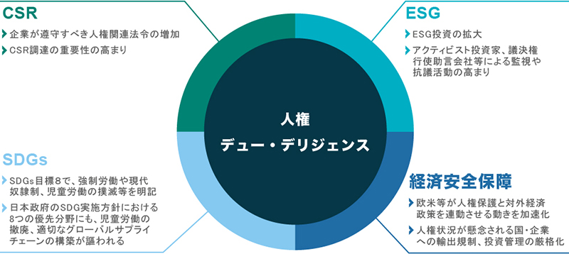 人権デュー・デリジェンス：ビジネスと人権
