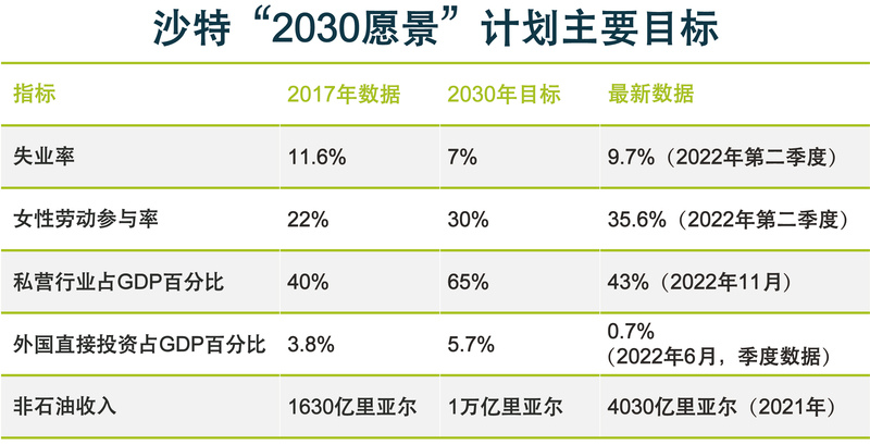 2030愿景：沙特阿拉伯的雄心与挑战